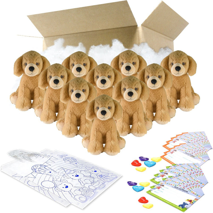 Yellow Lab 16" Eco Party Pack